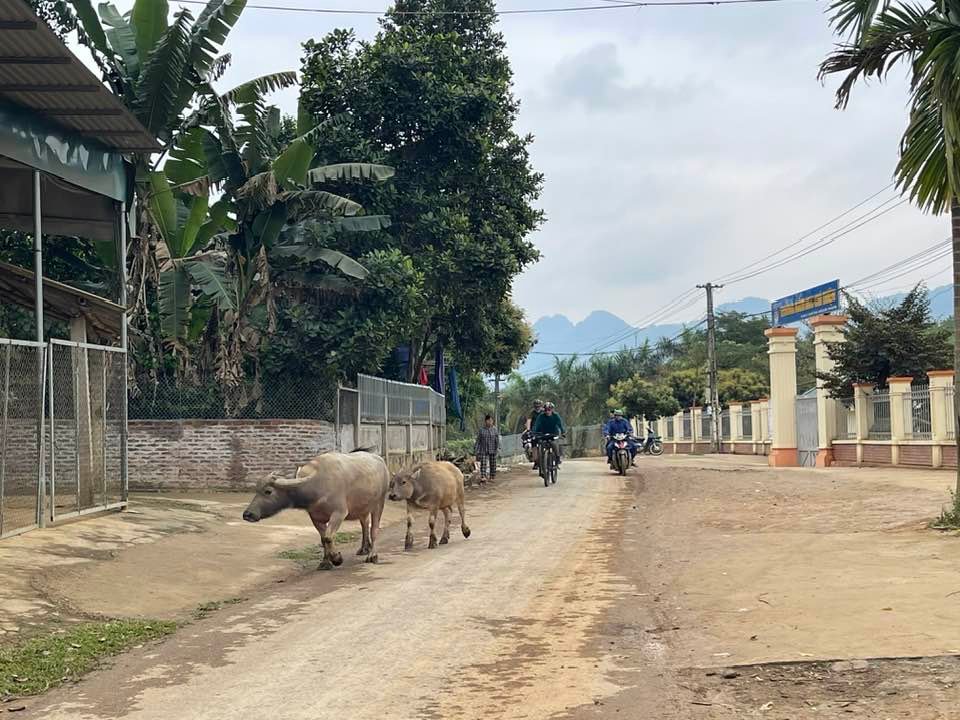 Pu Luong Bicycle Tour from Hanoi 3 Days